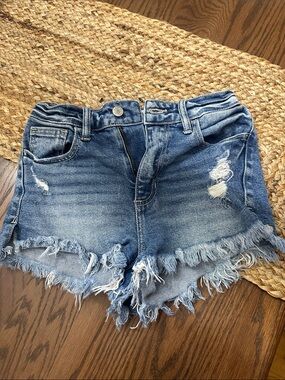 Willow and Root from Buckle-Vintage Blue Distressed Frayed Hem Jean Shorts